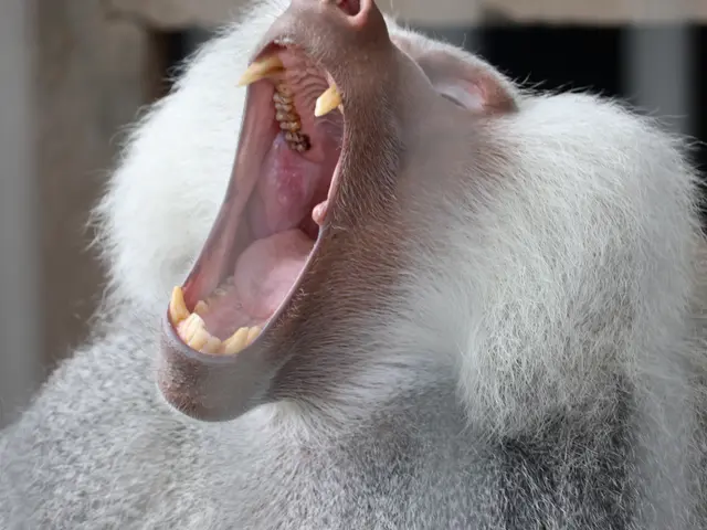 プロの技術でご満足いただけるように心を込めて撮影いたします