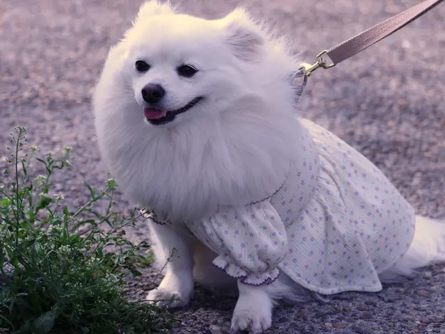 プロの技術でご満足いただけるように心を込めて撮影いたします