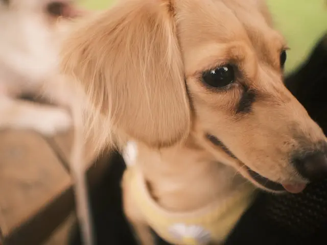 【即納品可能】真心込めて思い出と寄り添う撮影をします!