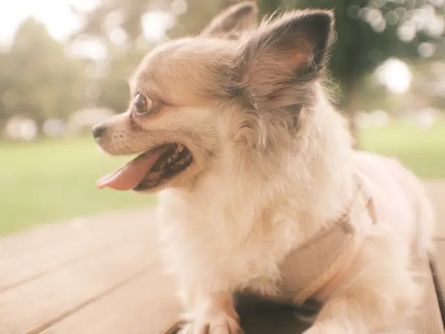 【即納品可能】真心込めて思い出と寄り添う撮影をします!