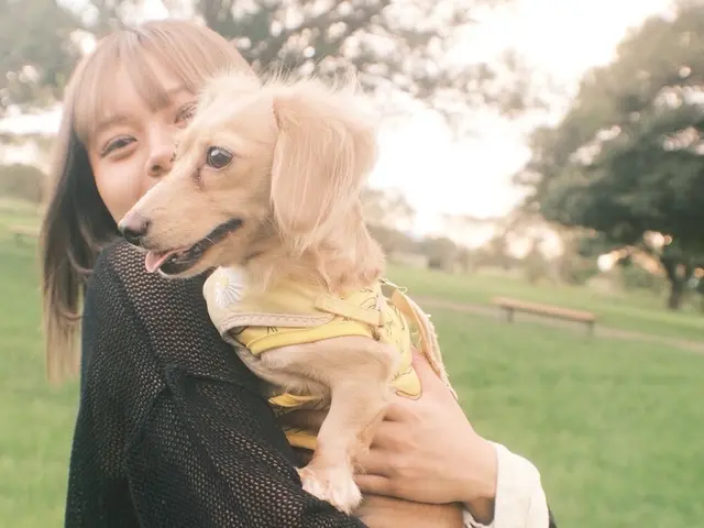 【即納品可能】真心込めて思い出と寄り添う撮影をします!