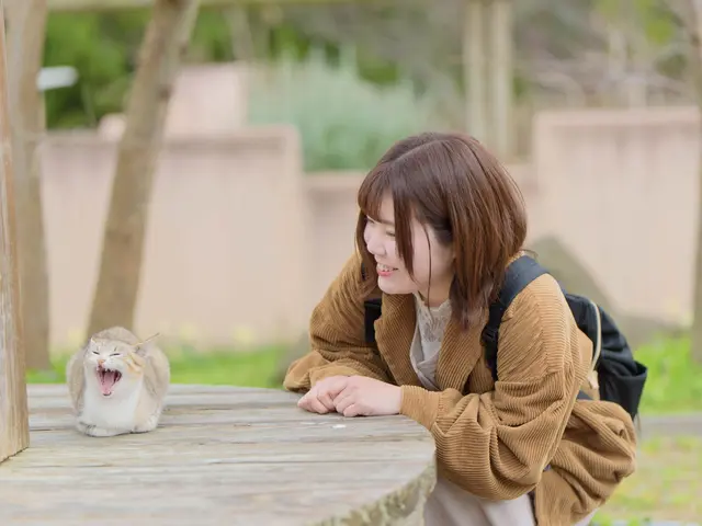 ワンちゃんネコちゃんの素敵な表情を逃しません!プロが対応致します。