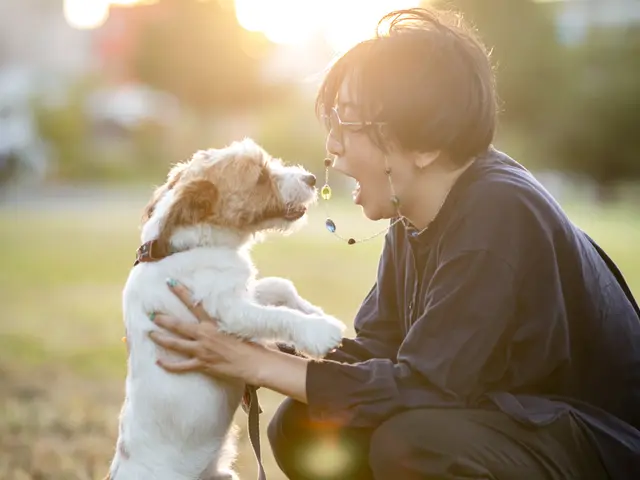 Family撮影・ワンコ撮影などお任せください!