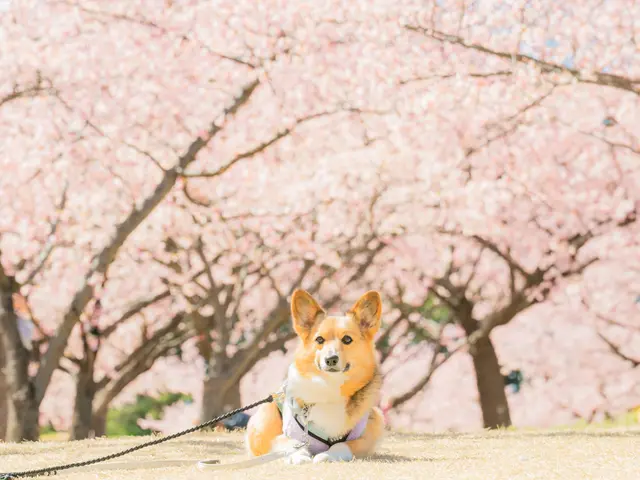 大切なご家族さまの瞬間撮影-感動の一枚を撮影します-