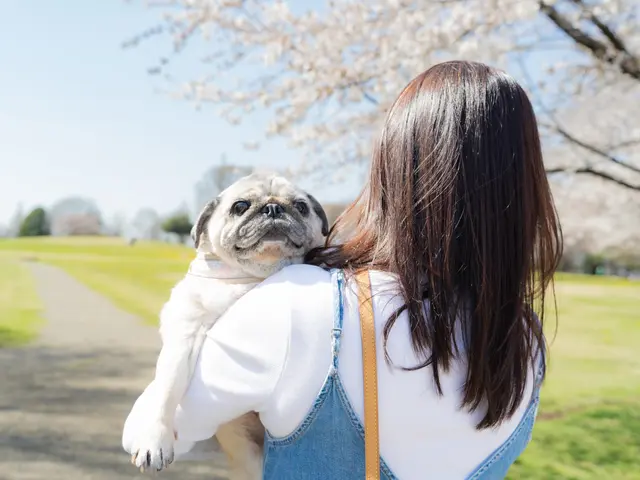 大切なご家族さまの瞬間撮影-感動の一枚を撮影します-