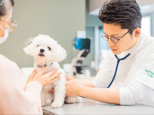 【唯一の銀賞店】関西関東でリピート多数★動画制作も様々なパターンで!登録事業者