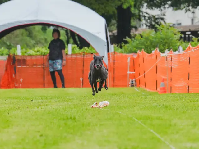 各種式典でのお写真撮影。撮影時間により割引いたしますのでお問い合わください。