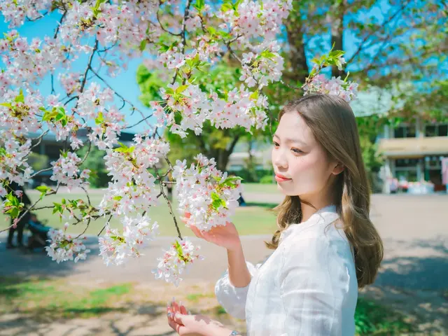 成功した3年後の未来を引き寄せるプロフィール写真撮影