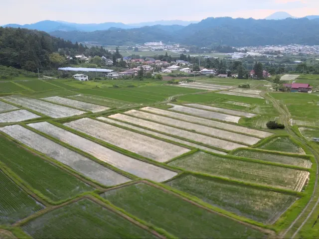 【全国対応】【最短即日】ドローン空撮いたします! 全国包括申請&保険加入済