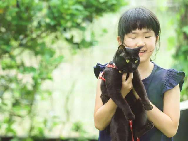 【近距離割】有料道路が必要ない地域であればすべて込みでこの価格!!(駐車料金別)