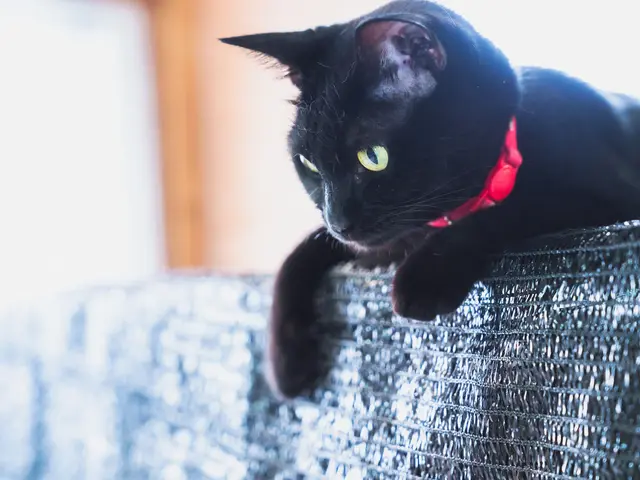 【近距離割】有料道路が必要ない地域であればすべて込みでこの価格!!(駐車料金別)