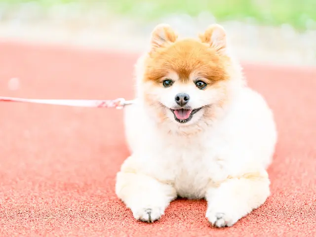 【近距離割】有料道路が必要ない地域であればすべて込みでこの価格!!(駐車料金別)