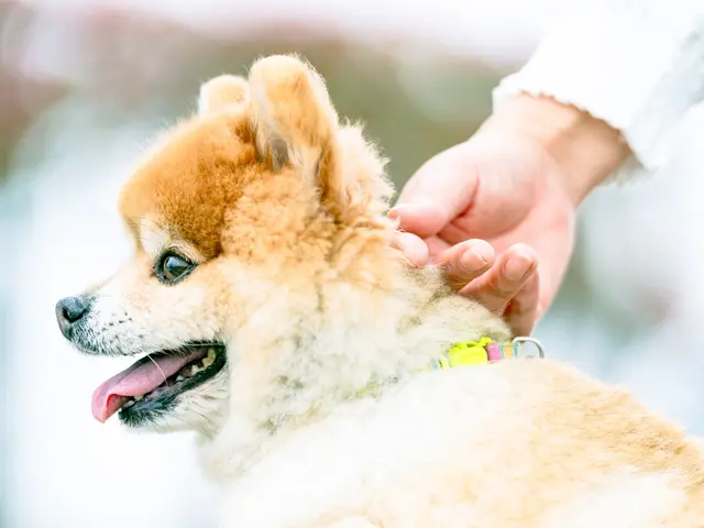 【近距離割】有料道路が必要ない地域であればすべて込みでこの価格!!(駐車料金別)