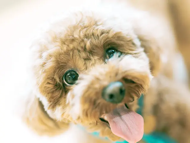 【近距離割】有料道路が必要ない地域であればすべて込みでこの価格!!(駐車料金別)