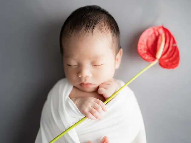 今しかない新生児の姿を写真に。(ご予約前に必ずメッセージをお願いします)