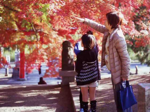【業界歴20年以上】フィルムカメラで、暖かみ、柔らかい写真をお勧めしています。