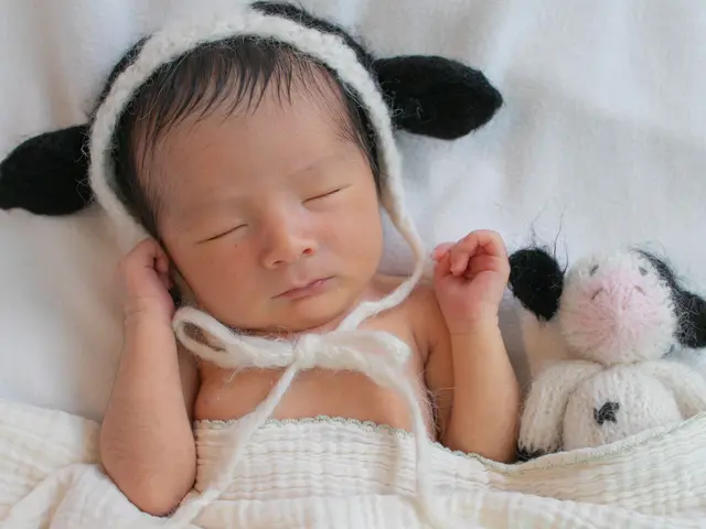 ニューボーンフォト撮影𓆸1枠のご予約3時間分の撮影です♡兄弟フォトや家族写真も