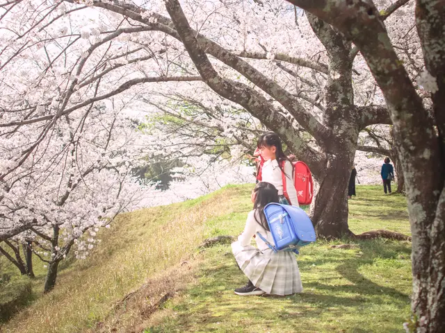 ◎年中無休◎予約対応~撮影・納品まで当社スタッフがすべて対応します