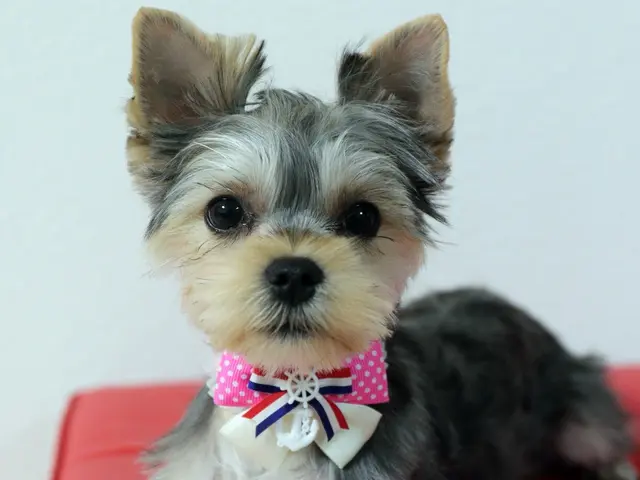 ☆フォトグラファー歴40年!年中無休◎女性スタッフ同行可