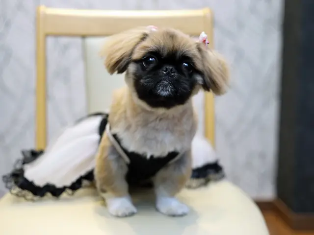 ☆フォトグラファー歴40年!年中無休◎女性スタッフ同行可