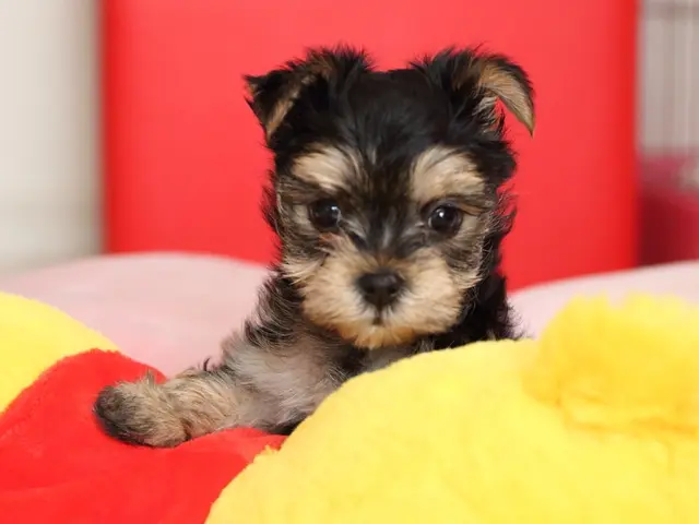 ☆フォトグラファー歴40年!年中無休◎女性スタッフ同行可