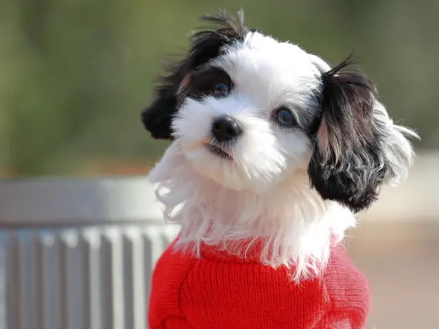 ☆フォトグラファー歴40年!年中無休◎女性スタッフ同行可