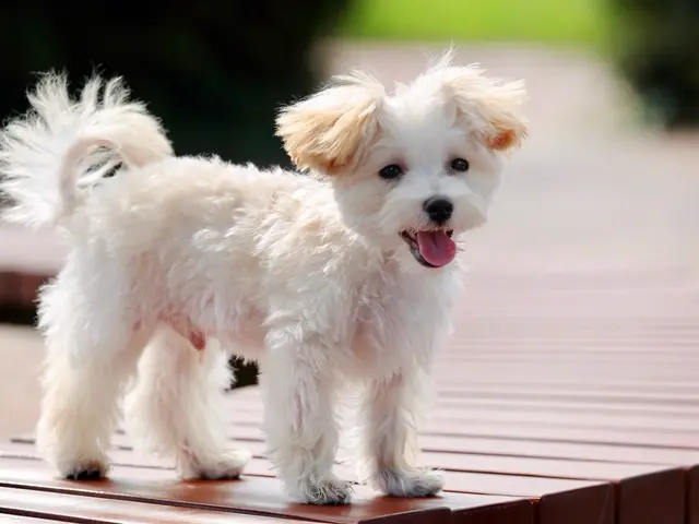 ☆フォトグラファー歴40年!年中無休◎女性スタッフ同行可