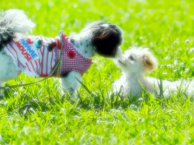 ☆フォトグラファー歴40年!年中無休◎女性スタッフ同行可