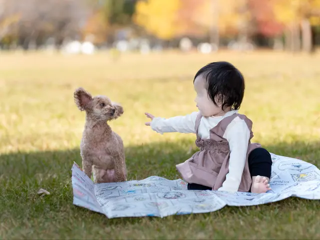 ☆初めての方でも安心できる雰囲気で撮影、 ペットちゃんの可愛さを引き出します
