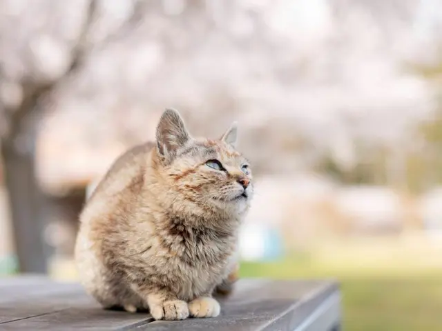 経験25年◎ご要望をしっかりお伺いします。