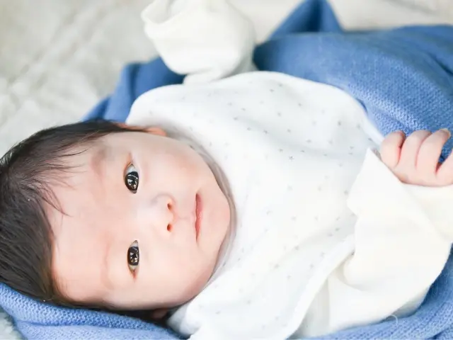 【JBP協会/ダイヤモンド会員:森月勝大】芦屋川近辺