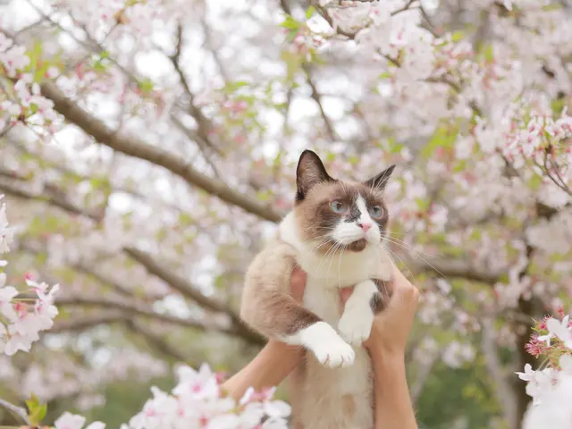 【業界20年】動物大好きなカメラマンとアシスタントが楽しく撮影いたします!