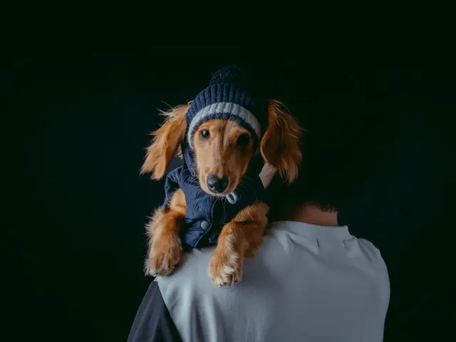 動物大好きだからこそ撮れる写真を!