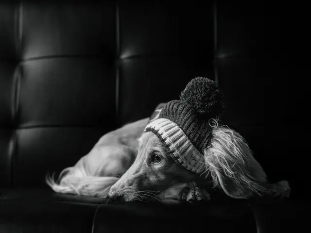 動物大好きだからこそ撮れる写真を!