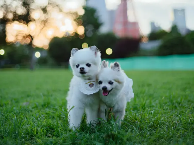 動物大好きだからこそ撮れる写真を!