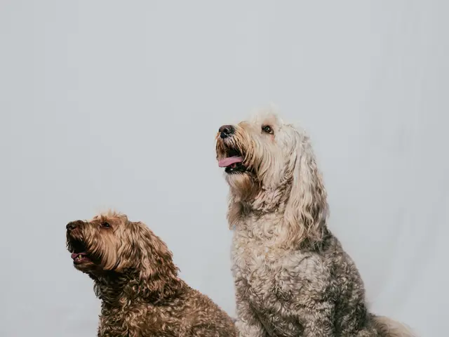 動物大好きだからこそ撮れる写真を!