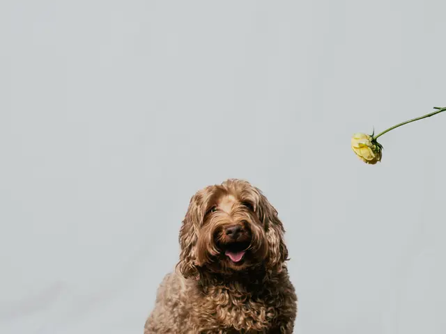 動物大好きだからこそ撮れる写真を!