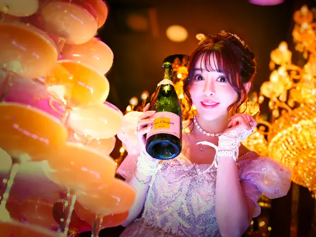 結婚式、パーティー、企業案件ビデオ撮影お任せください。企業案件、前撮り、web
