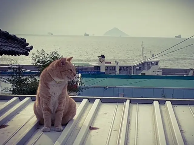【新規出店】映像制作・動画撮影・編集・企画~納品まで幅広く対応!