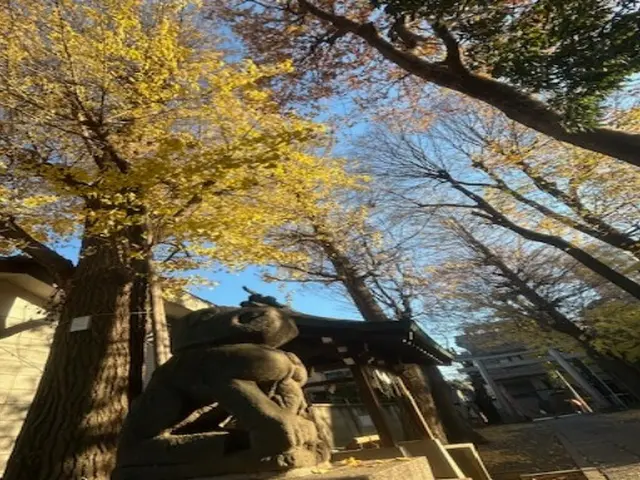 【新規出店】映像制作・動画撮影・編集・企画~納品まで幅広く対応!