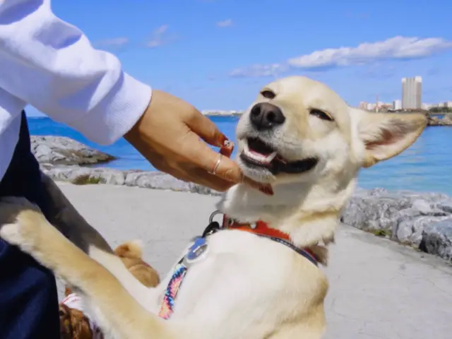 【ドローン&一眼映像撮影】で創る一生ものの記念映像制作、ドローン&一眼写真無料◎