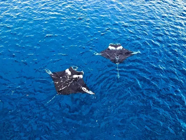 【ドローン&一眼映像撮影】で創る一生ものの記念映像制作、ドローン&一眼写真無料◎