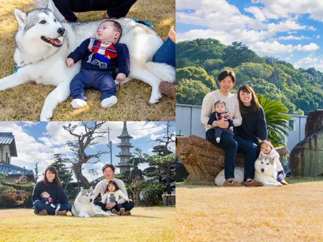 ペット撮影お任せください☆ワンちゃん七五三も可能!