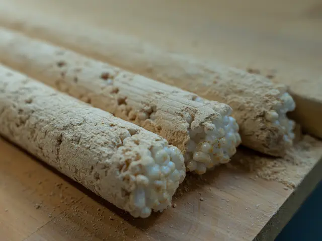 【ヒト・モノ・コトを写真で収めるお手伝い】アナタの写したいを承ります!