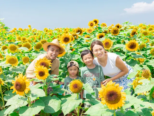 家族写真専門*出張撮影サービス★明るくてナチュラルな記念写真♪80カット保証