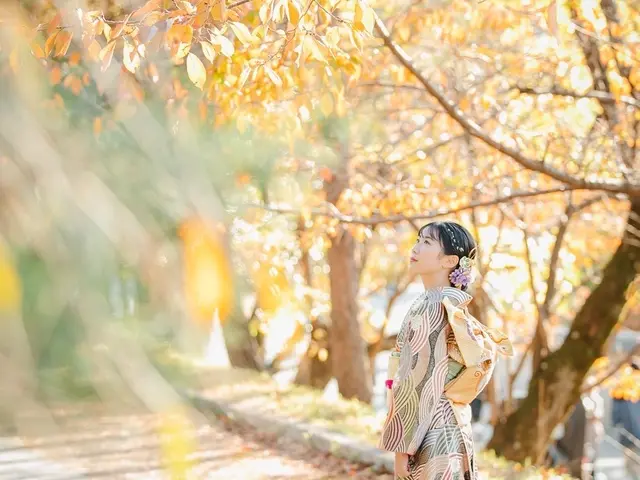 【着付け歴25年以上】京都滋賀対応 早朝料金込み 花嫁 振袖前撮り歓迎♪♪