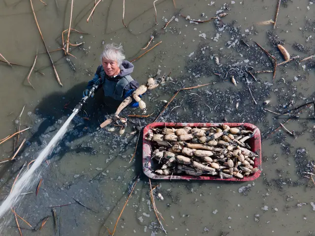 【年中無休】土日祝もOK!大手業務経験あり!女性スタッフ同行・指定可能!