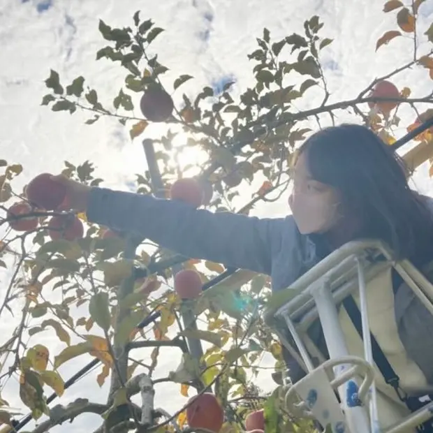 畑野 佳奈子