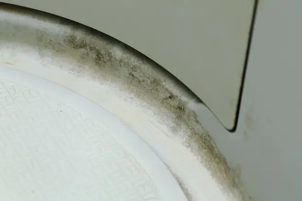 湯垢