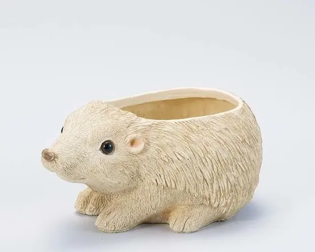 ハリネズミ